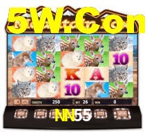 NN55